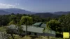 701 Darkwood Road, Thora, NSW 2454-Image
