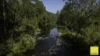 701 Darkwood Road, Thora, NSW 2454-Image
