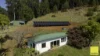 701 Darkwood Road, Thora, NSW 2454-Image