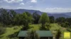 701 Darkwood Road, Thora, NSW 2454-Image