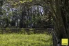 701 Darkwood Road, Thora, NSW 2454-Image