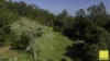 701 Darkwood Road, Thora, NSW 2454-Image