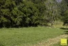 701 Darkwood Road, Thora, NSW 2454-Image