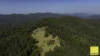 701 Darkwood Road, Thora, NSW 2454-Image