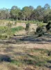 702 Comboyne Road, Byabarra, NSW 2446-Image
