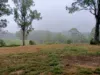 702 Comboyne Road, Byabarra, NSW 2446-Image