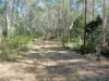 702 Comboyne Road, Byabarra, NSW 2446-Image