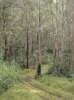702 Comboyne Road, Byabarra, NSW 2446-Image