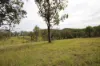 702 Comboyne Road, Byabarra, NSW 2446-Image