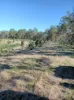 702 Comboyne Road, Byabarra, NSW 2446-Image