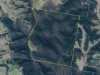 702 Comboyne Road, Byabarra, NSW 2446-Image