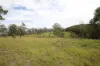 702 Comboyne Road, Byabarra, NSW 2446-Image