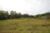 702 Comboyne Road, Byabarra, NSW 2446-Image