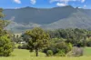 703, Brays Creek NSW 2484-Image
