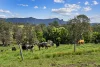 703, Brays Creek NSW 2484-Image