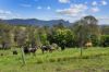 703, Brays Creek NSW 2484-Image