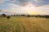 705 Springfield Lane, Gulgong, NSW 2852-Image