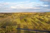 705 Springfield Lane, Gulgong, NSW 2852-Image