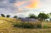 705 Springfield Lane, Gulgong, NSW 2852-Image