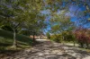 709 Mount Eliza Road, Kerrie, Vic 3434-Image
