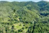 71 Chapmans Road West, Bauple, Qld 4650-Image
