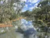 71 Halls Road, Leitchville, Vic 3567-Image