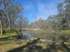 71 Halls Road, Leitchville, Vic 3567-Image