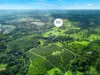 71 Willis Road, Tregeagle, NSW 2480-Image
