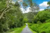 71 Willis Road, Tregeagle, NSW 2480-Image
