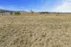 710  Beaufort-Lexton Road, Waterloo, Vic 3373-Image