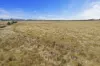 710  Beaufort-Lexton Road, Waterloo, Vic 3373-Image