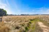 710  Beaufort-Lexton Road, Waterloo, Vic 3373-Image