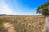 710  Beaufort-Lexton Road, Waterloo, Vic 3373-Image