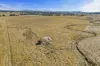 710  Beaufort-Lexton Road, Waterloo, Vic 3373-Image