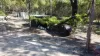 718 Pacific Drive, Deepwater, Qld 4674-Image