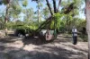 718 Pacific Drive, Deepwater, Qld 4674-Image
