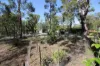 718 Pacific Drive, Deepwater, Qld 4674-Image