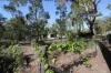 718 Pacific Drive, Deepwater, Qld 4674-Image