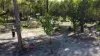 718 Pacific Drive, Deepwater, Qld 4674-Image