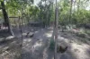 718 Pacific Drive, Deepwater, Qld 4674-Image