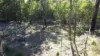 718 Pacific Drive, Deepwater, Qld 4674-Image