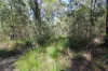 718 Pacific Drive, Deepwater, Qld 4674-Image