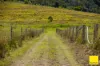 721 Upper Avon Road, Craven NSW 2422-Image