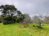 724 Springhill Road, Spring Hill, Vic 3444-Image