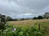 724 Springhill Road, Spring Hill, Vic 3444-Image