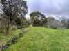 724 Springhill Road, Spring Hill, Vic 3444-Image