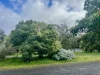 724 Springhill Road, Spring Hill, Vic 3444-Image