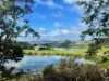 724 Springhill Road, Spring Hill, Vic 3444-Image