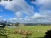 724 Springhill Road, Spring Hill, Vic 3444-Image