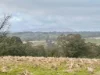 724 Springhill Road, Spring Hill, Vic 3444-Image